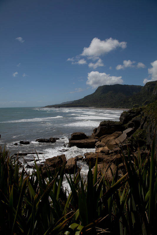 nzblogweektwo93.jpg