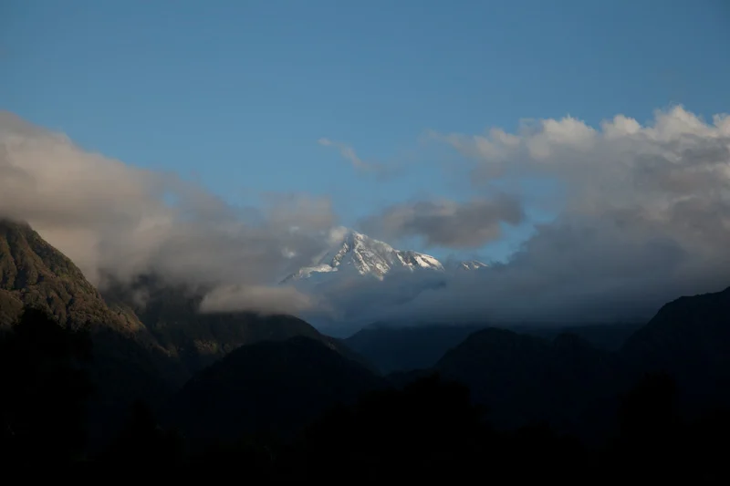 nzblogweektwo95.jpg