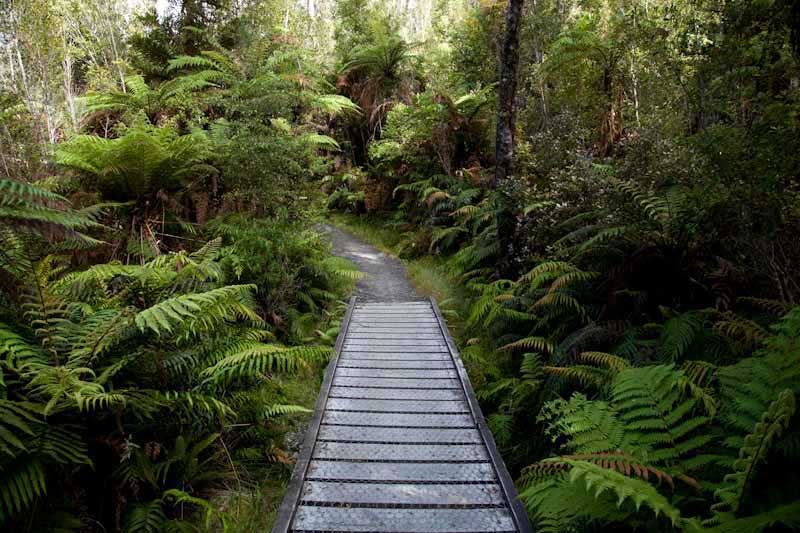 nzblogweektwo113.jpg