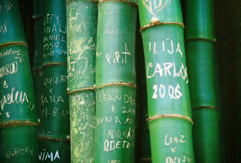 brazil11.jpg