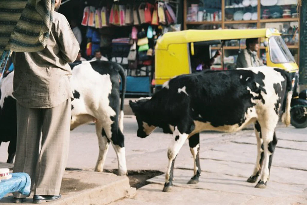 India 200507.jpg