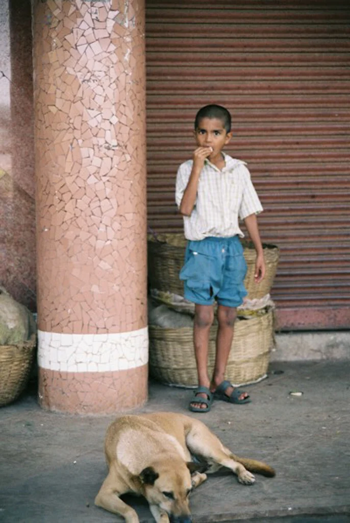 India 200522.jpg