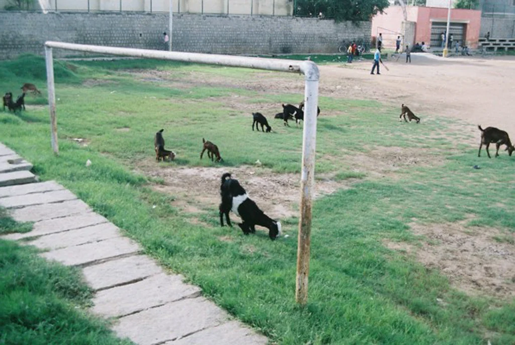 India 200547.jpg