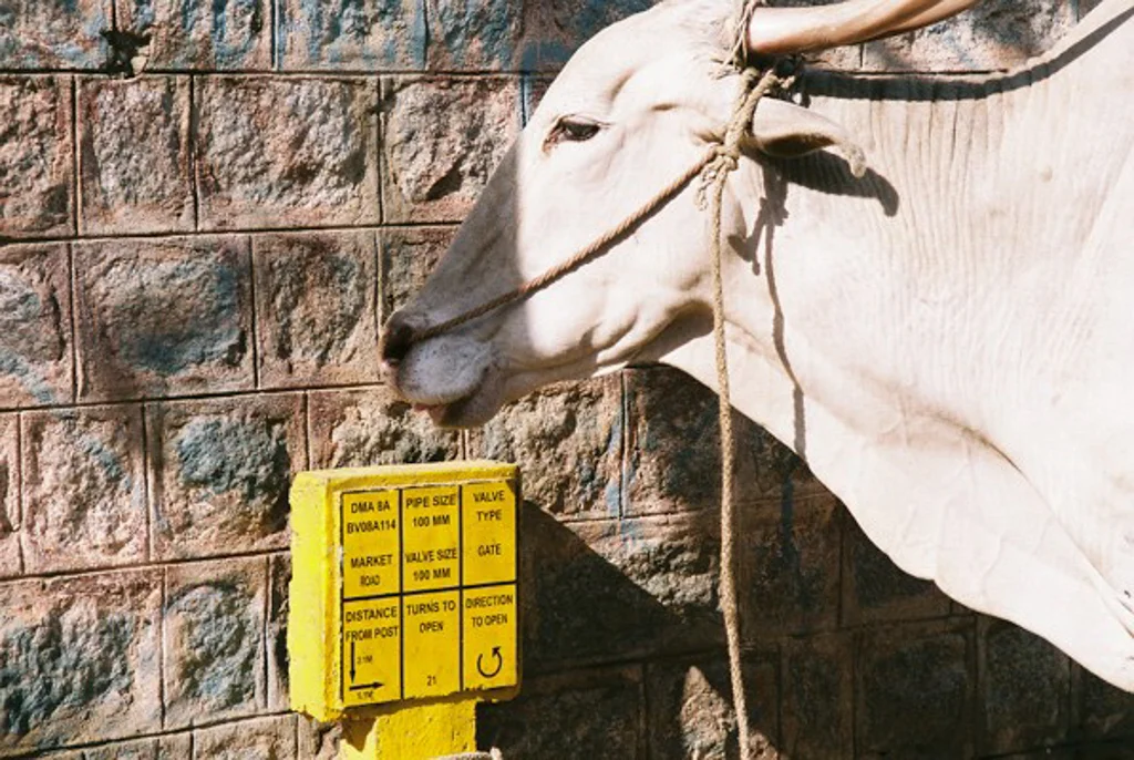 India 200548.jpg