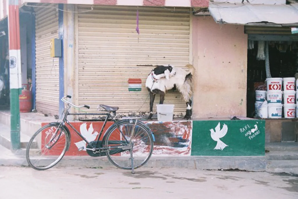 India 200550.jpg