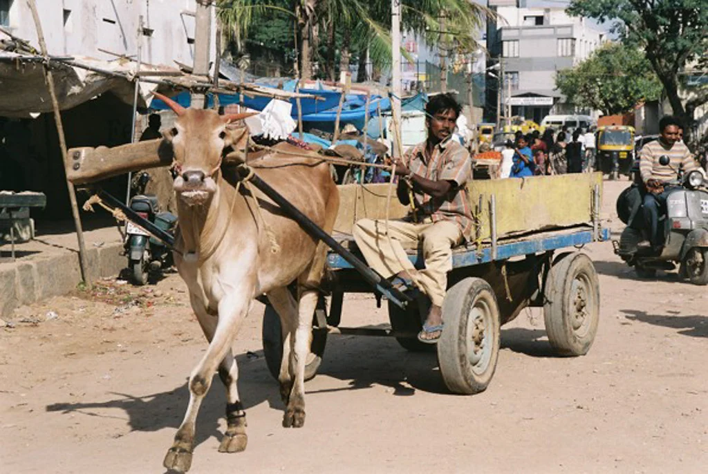 India 200578.jpg