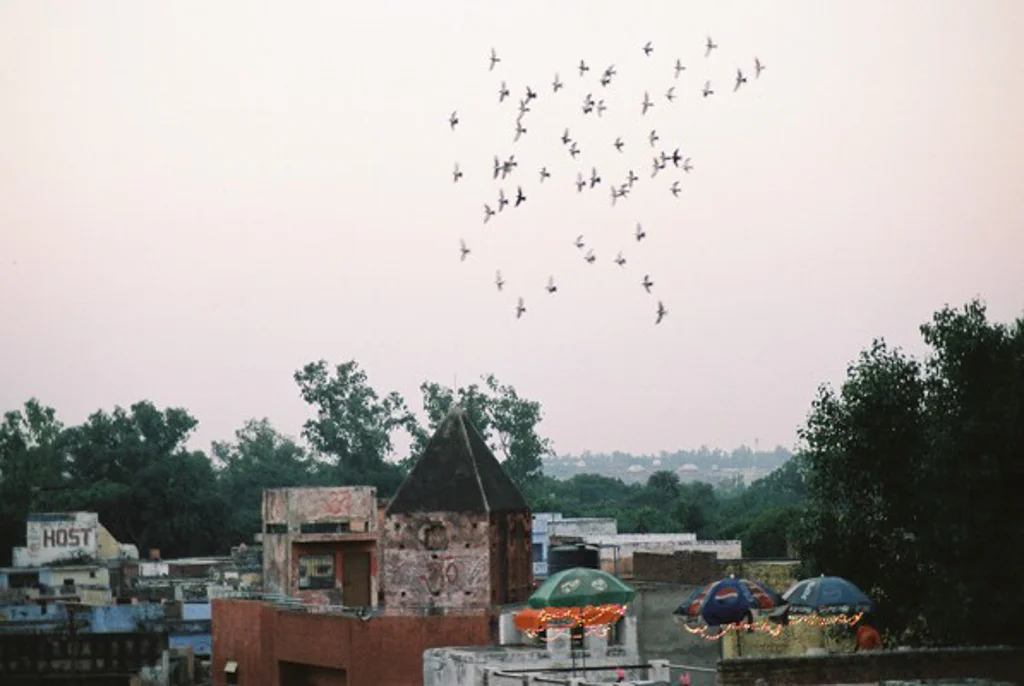 India 200594.jpg