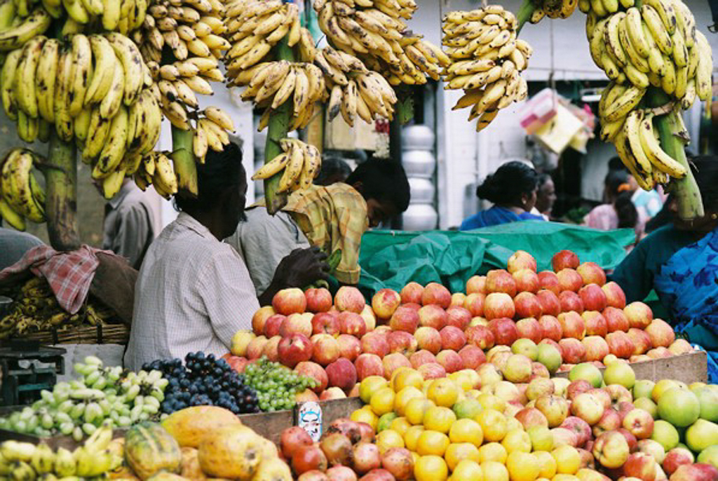 India 2005106.jpg