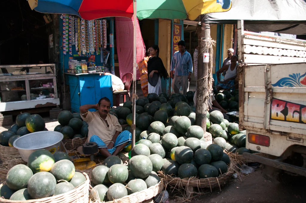 kolkatamaster36.jpg