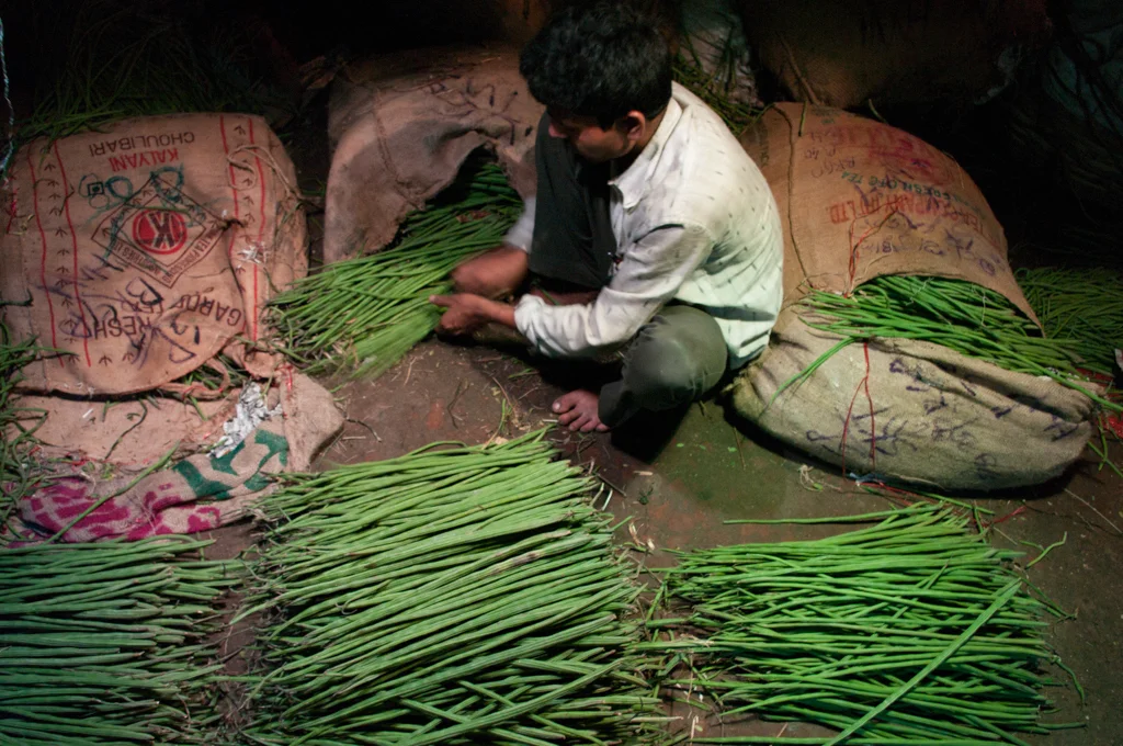 kolkatamaster43.jpg