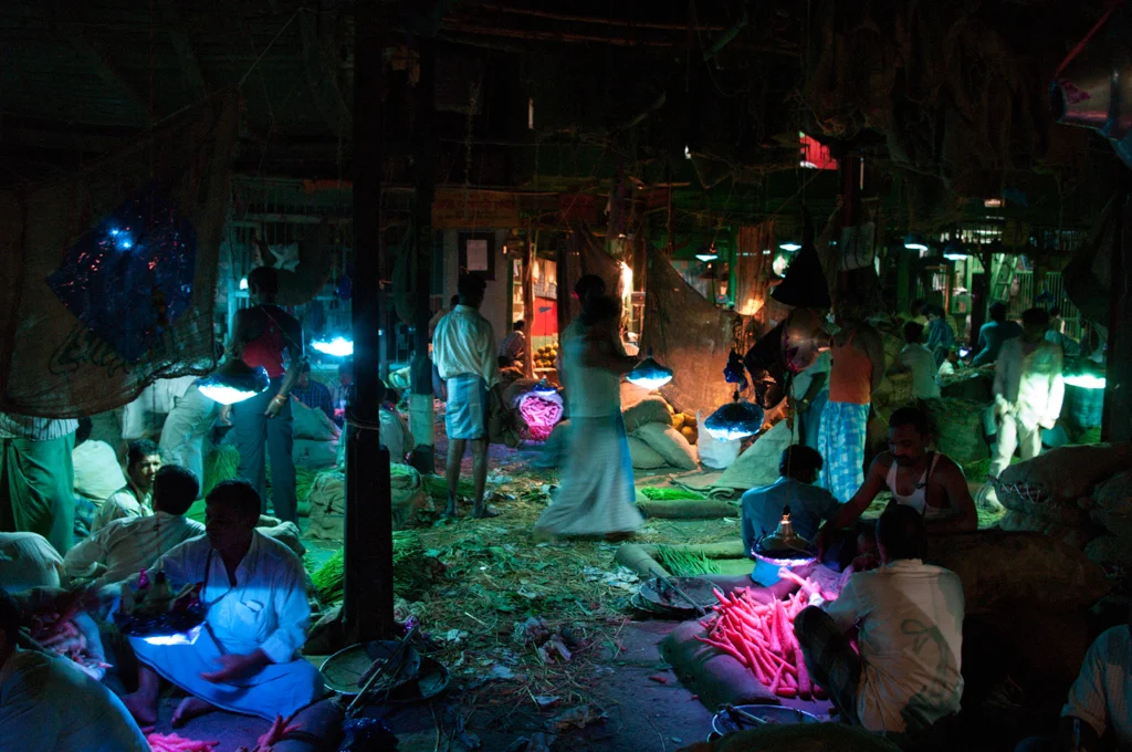 kolkatamaster44.jpg