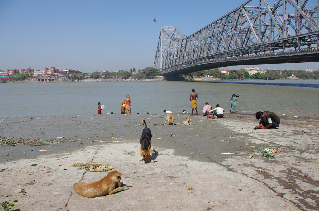 kolkatamaster76.jpg