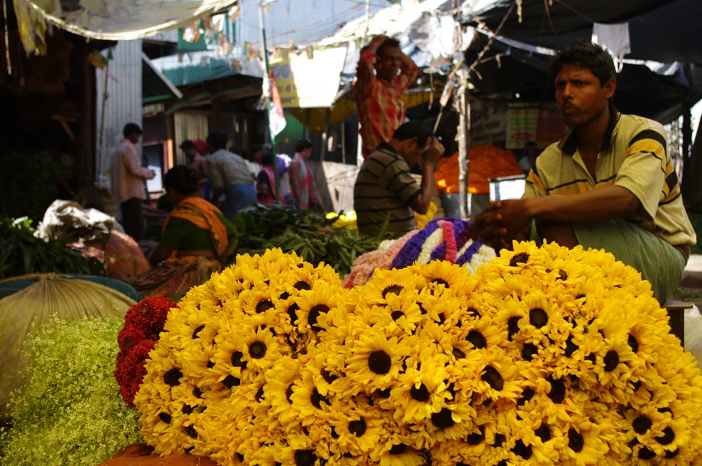 kolkatamaster79.jpg