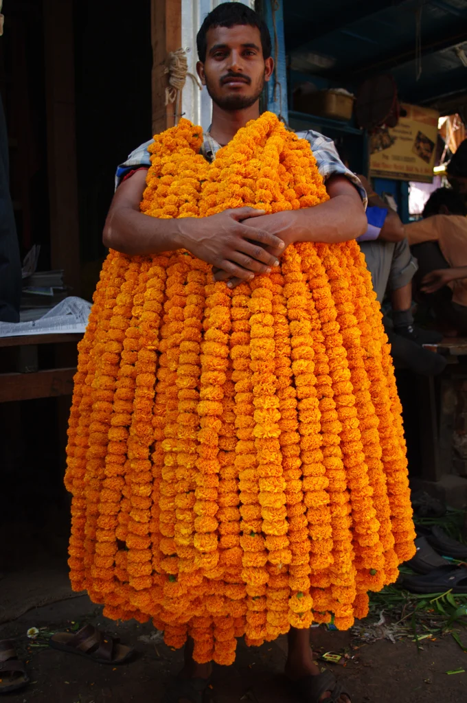 kolkatamaster82.jpg