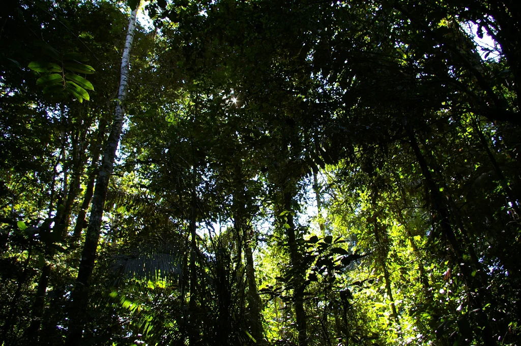 peru08.jpg