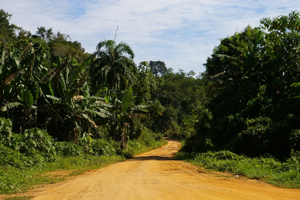 peru11.jpg