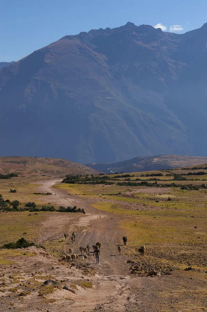 peru25.jpg