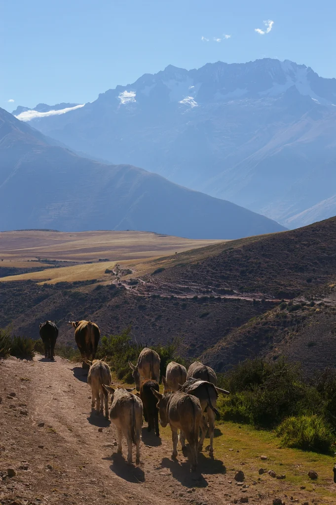 peru27.jpg