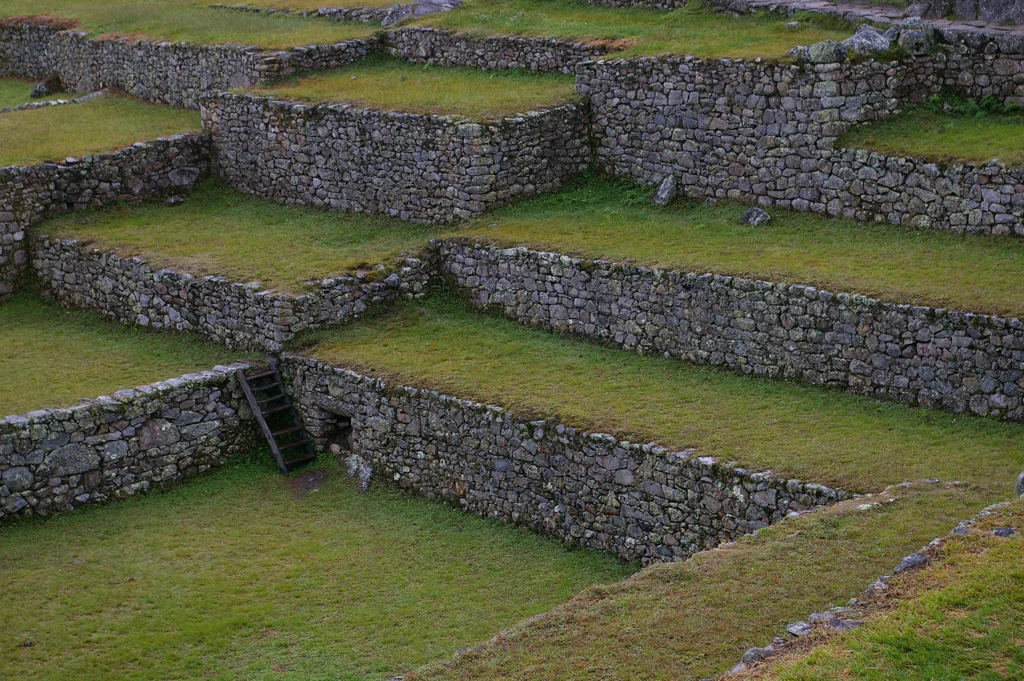 peru50.jpg