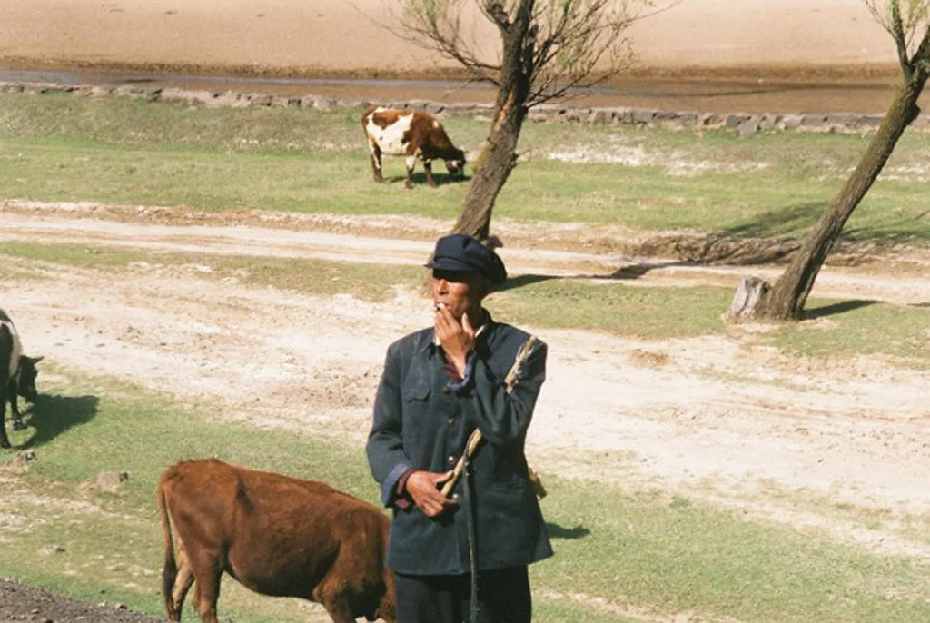 transmongolian21.jpg