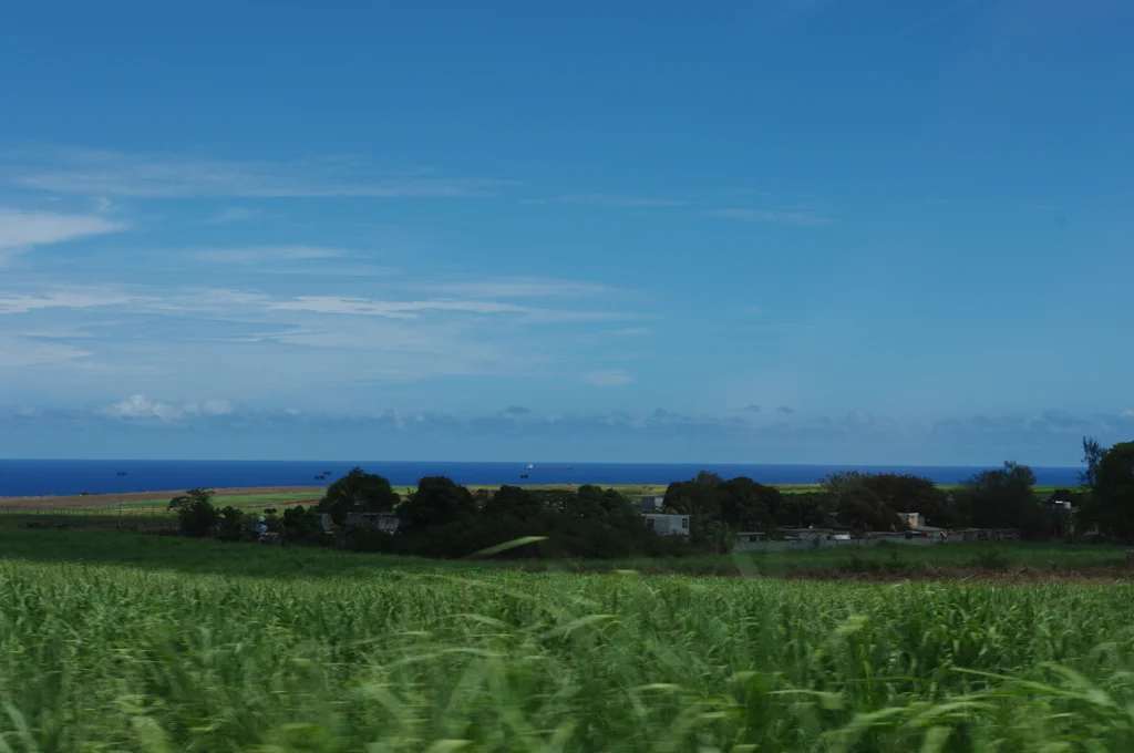 mauritius02.jpg