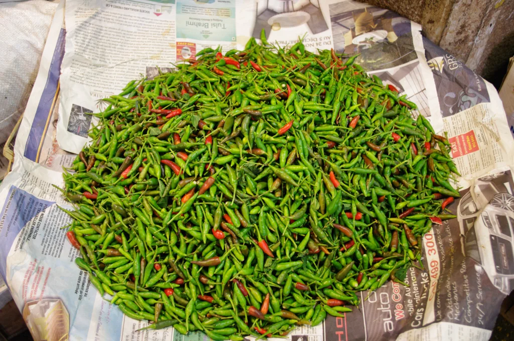 mauritius09.jpg