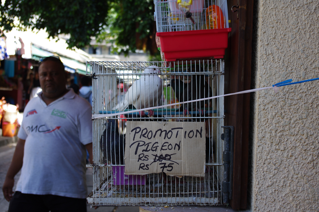 mauritius14.jpg