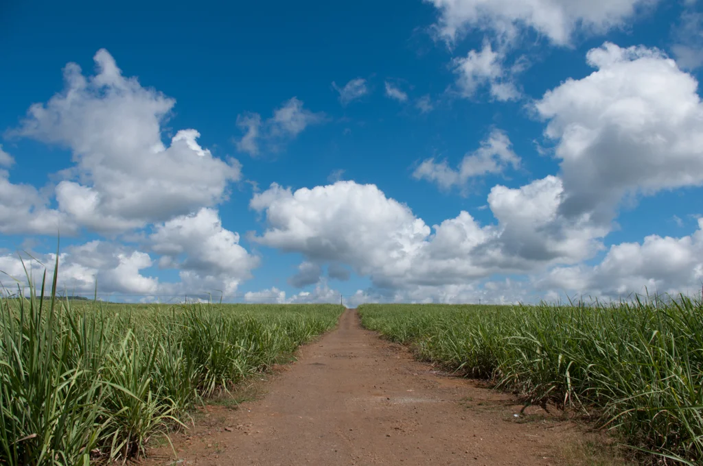 mauritius22.jpg