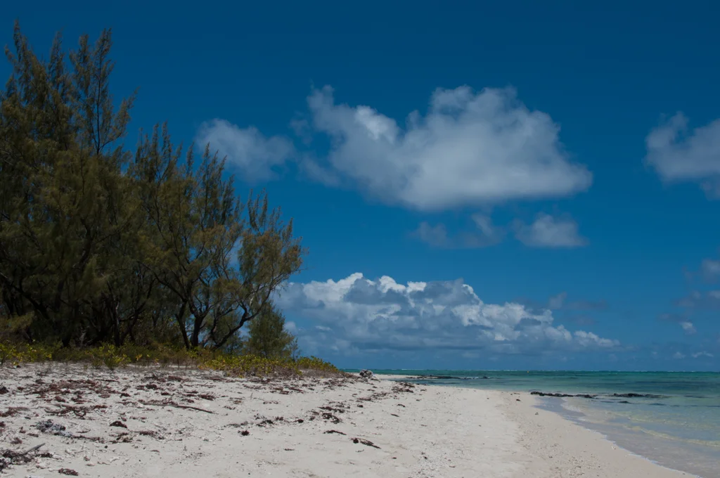 mauritius25.jpg