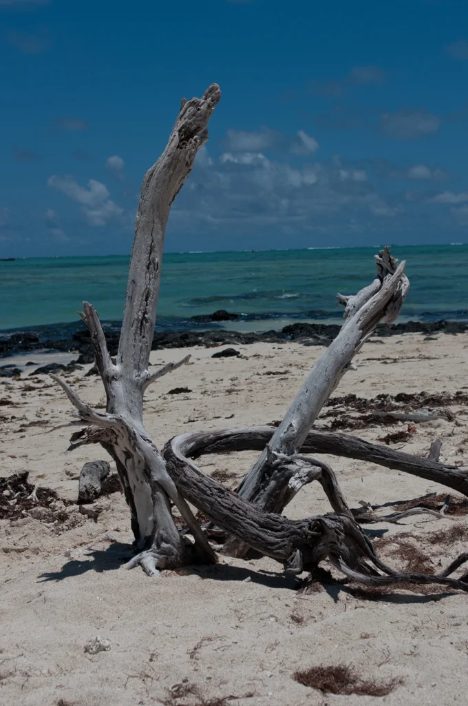 mauritius26.jpg
