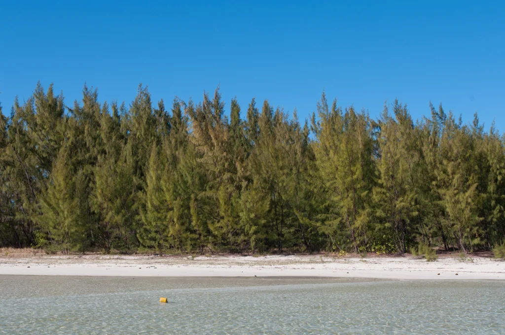 mauritius27.jpg