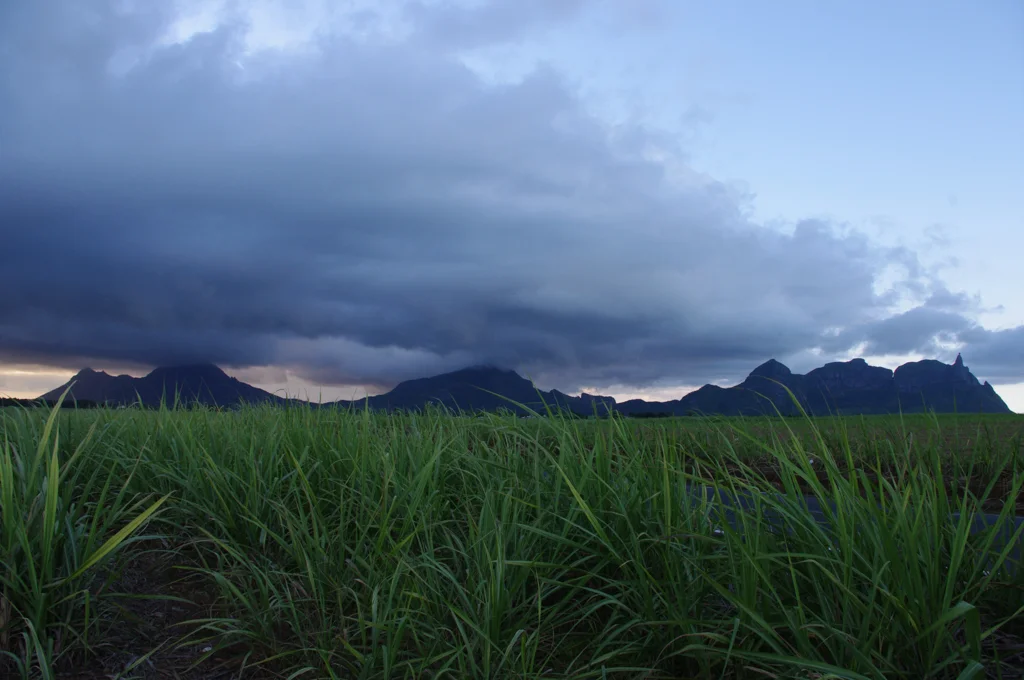mauritius28.jpg