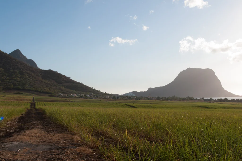 mauritius49.jpg