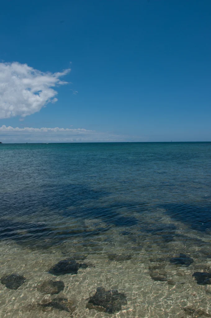 mauritius67.jpg