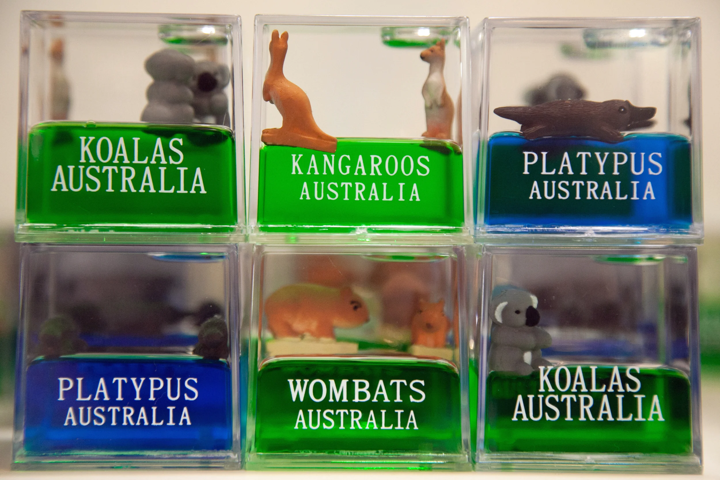 Tourist Tat Web Masters12.jpg