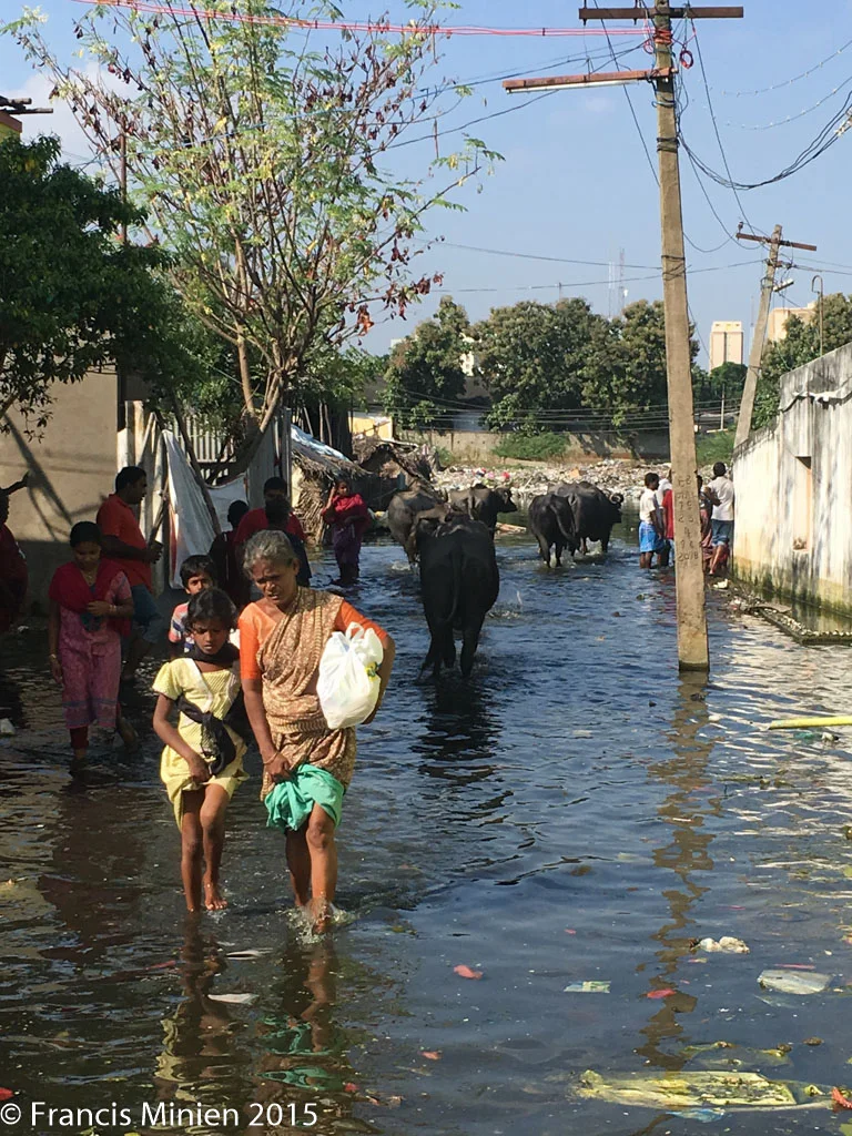 chennai_fm.com10.jpg