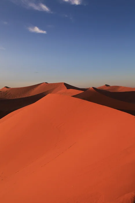 landscapesafrikafm5.jpg