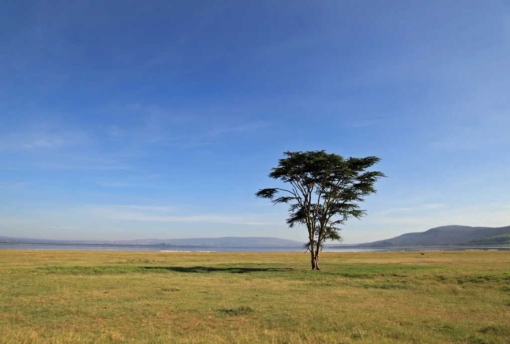 landscapesafrikafm6.jpg