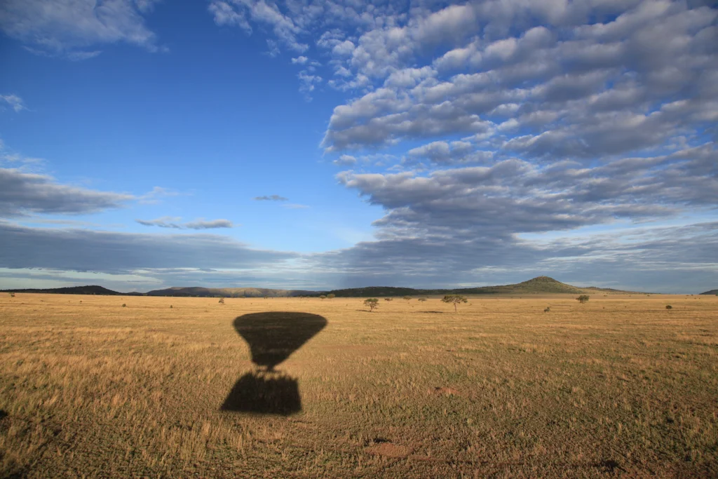 landscapesafrikafm11.jpg