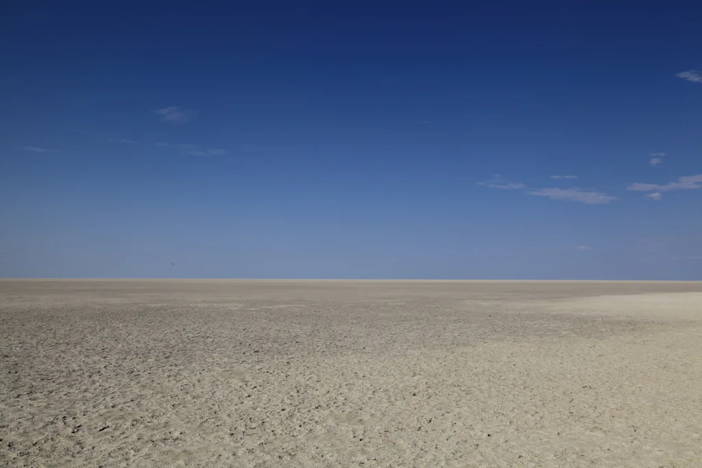 landscapesafrikafm12.jpg