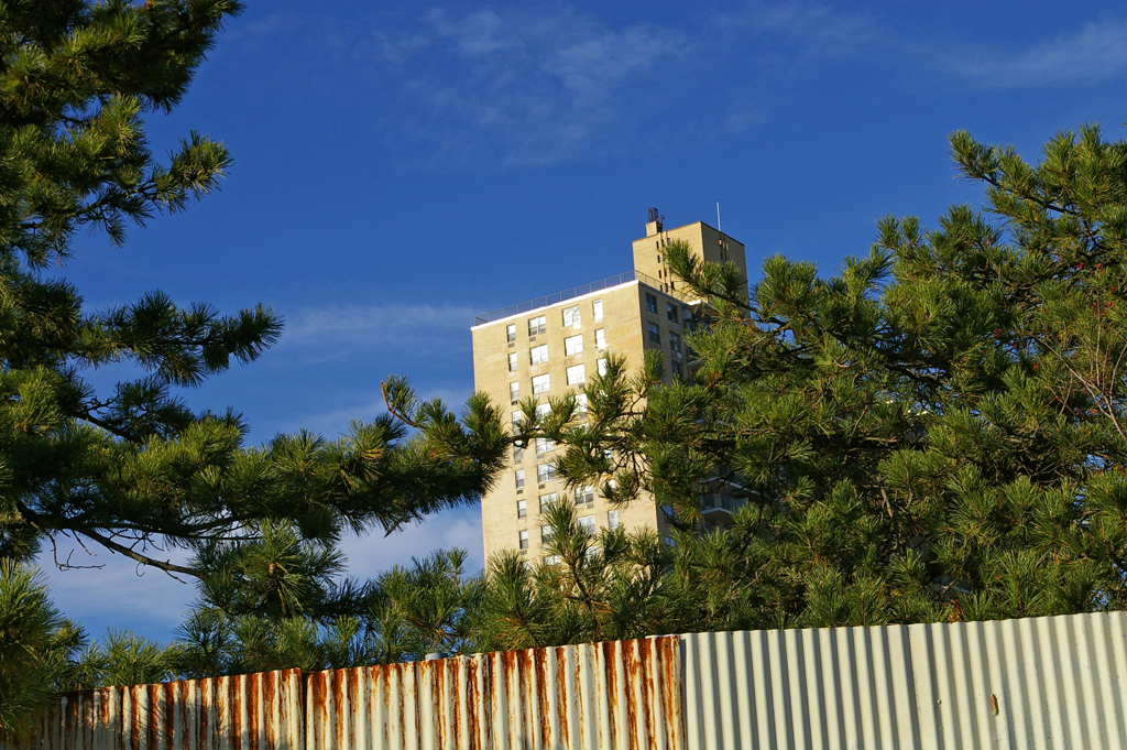 Landitecture001.jpg