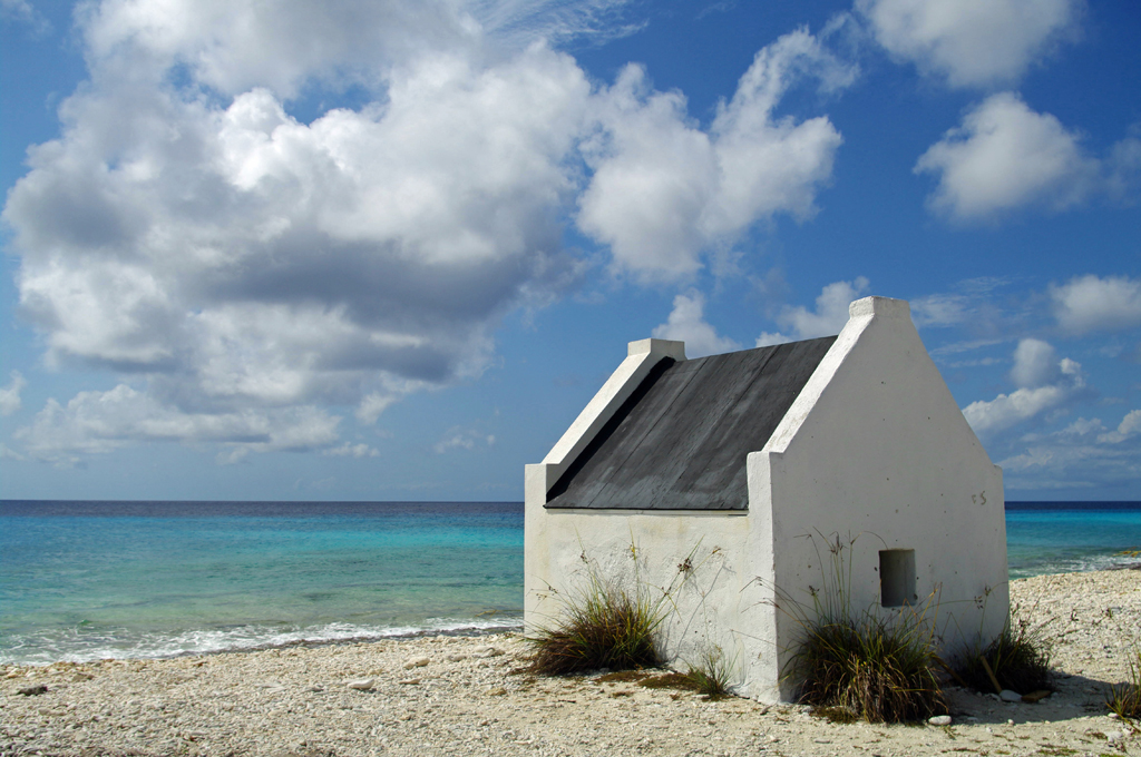 Landitecture014.jpg