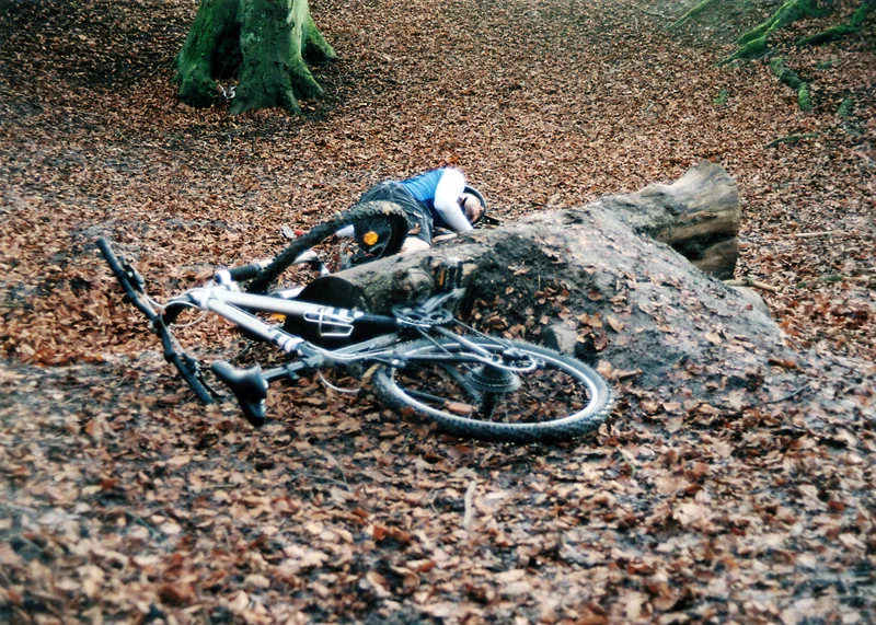 MTOFMweb014.jpg