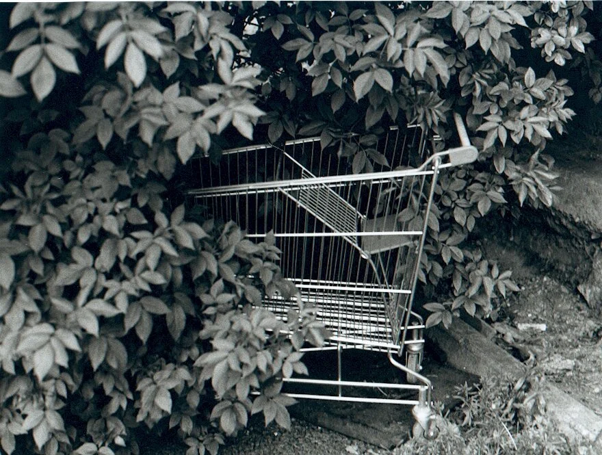 Trolley.jpg