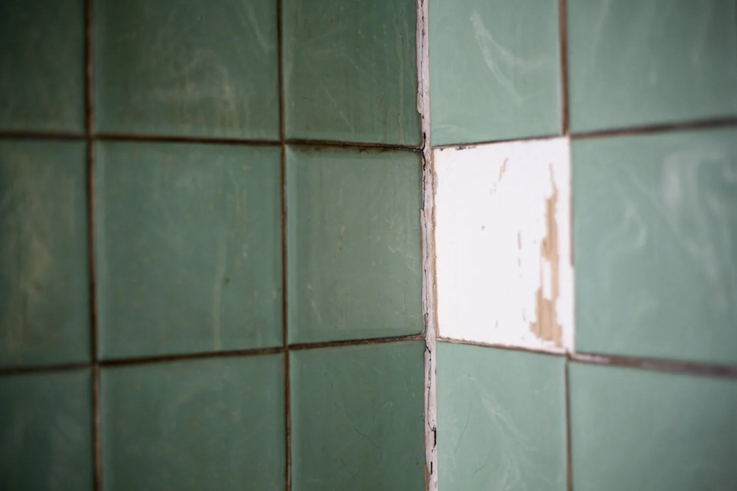 Inbetween Borders_06.JPG