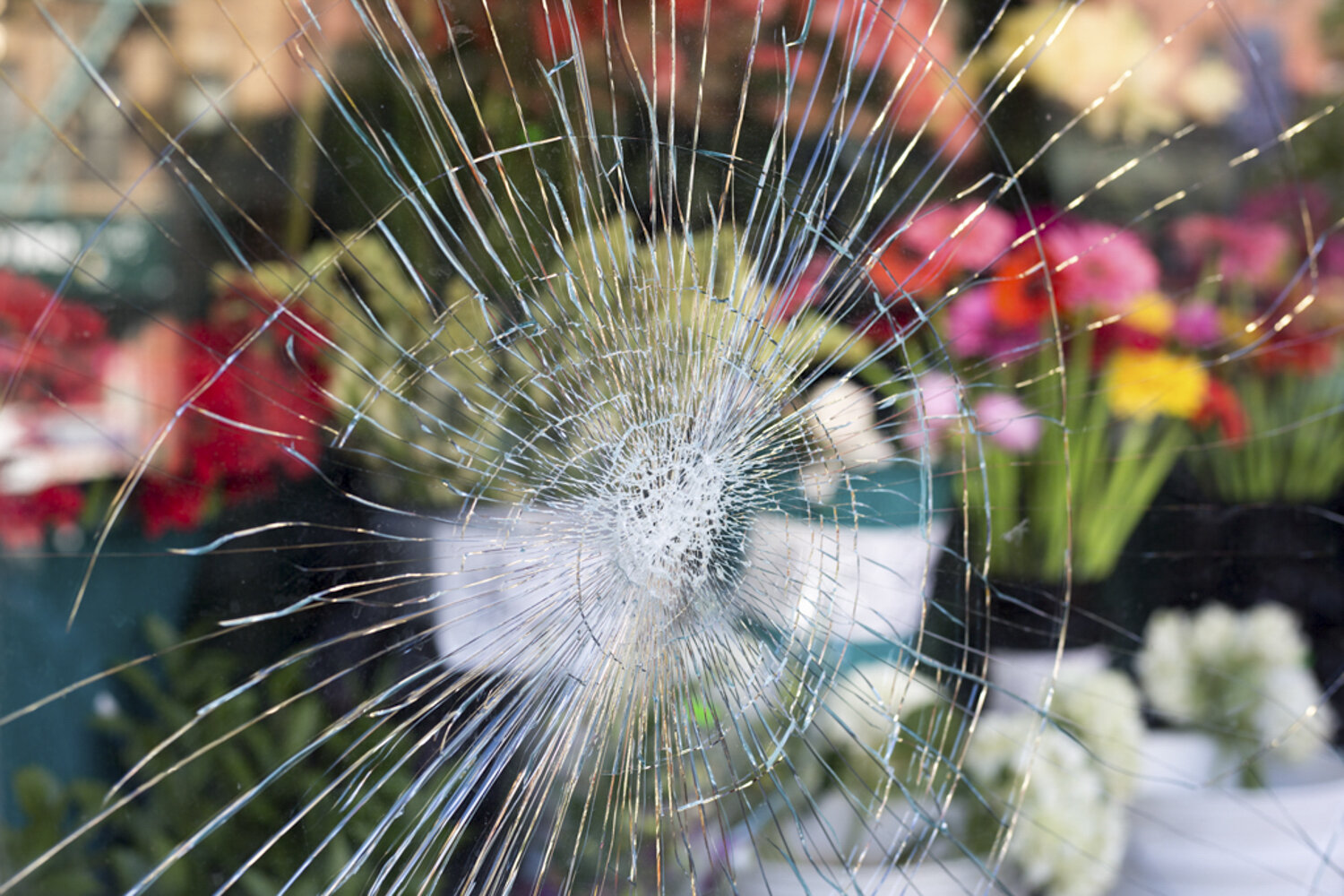 Inbetween Borders_08.JPG