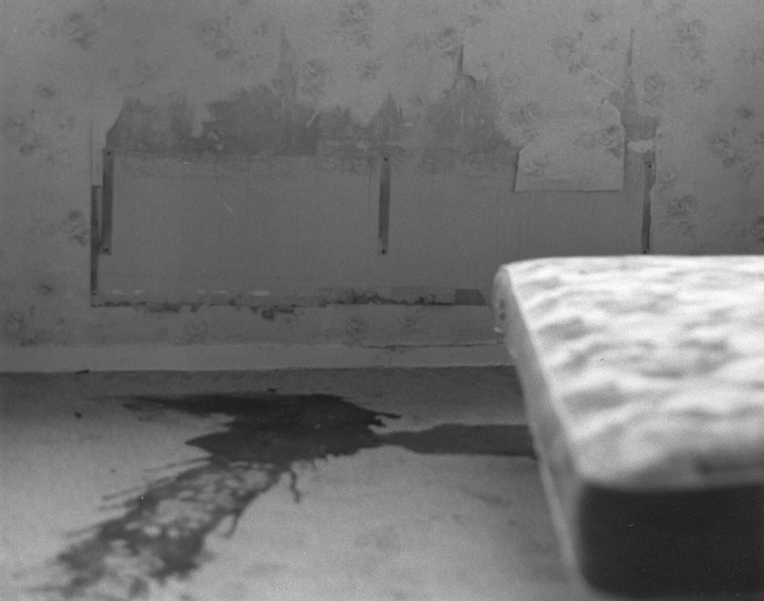 Human Remains_04.JPG