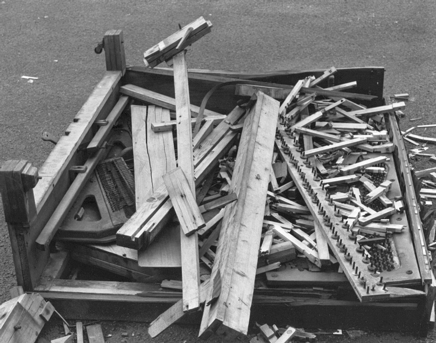 Human Remains_22.JPG