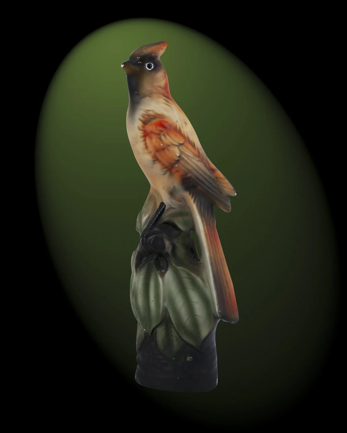 Who's a Pretty Boy? (Red)