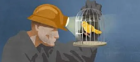 Canary-in-the-Coal-Mine.jpg